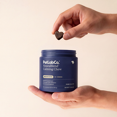PetLabCo.® Launches NeuraBlend™ Calming Chew to Support Dogs During Holiday Travel and Everyday Stressors