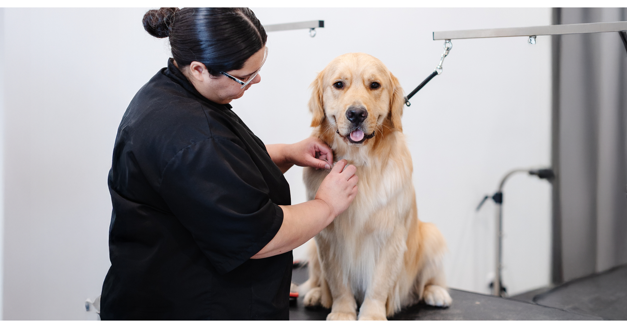 Sparkle Grooming Co. Opens New Johns Creek Salon