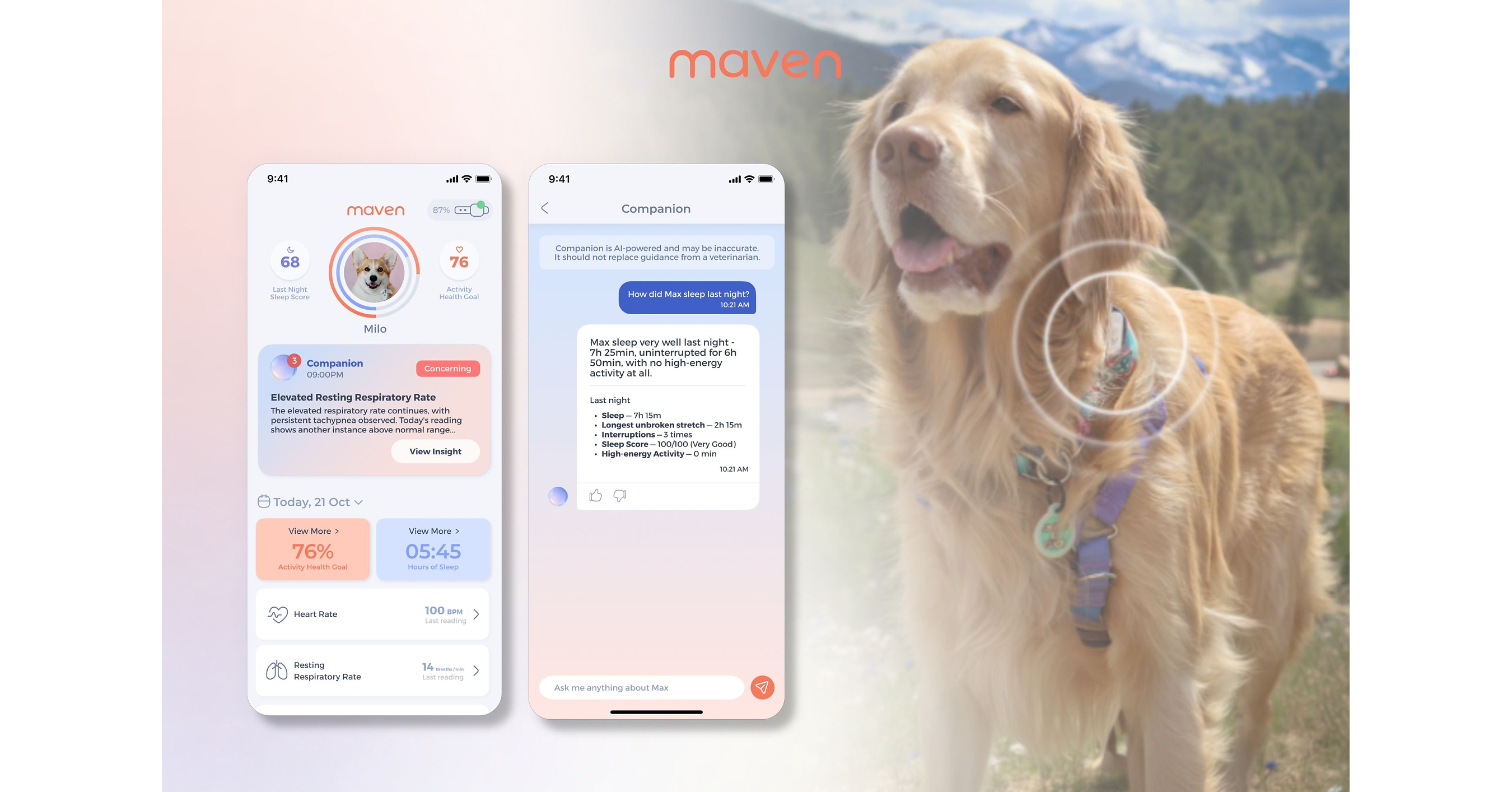 /C O R R E C T I O N - Maven Pet/