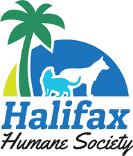 Halifax Humane Society Expands Lost Pet Prevention Efforts With Support From UCF's College of Community Innovation and Education