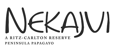 Nekajui Logo