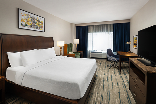 Single King Guestroom