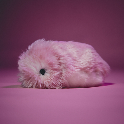Comfort now comes in pink: a new Moflin color arrives in the U.S.