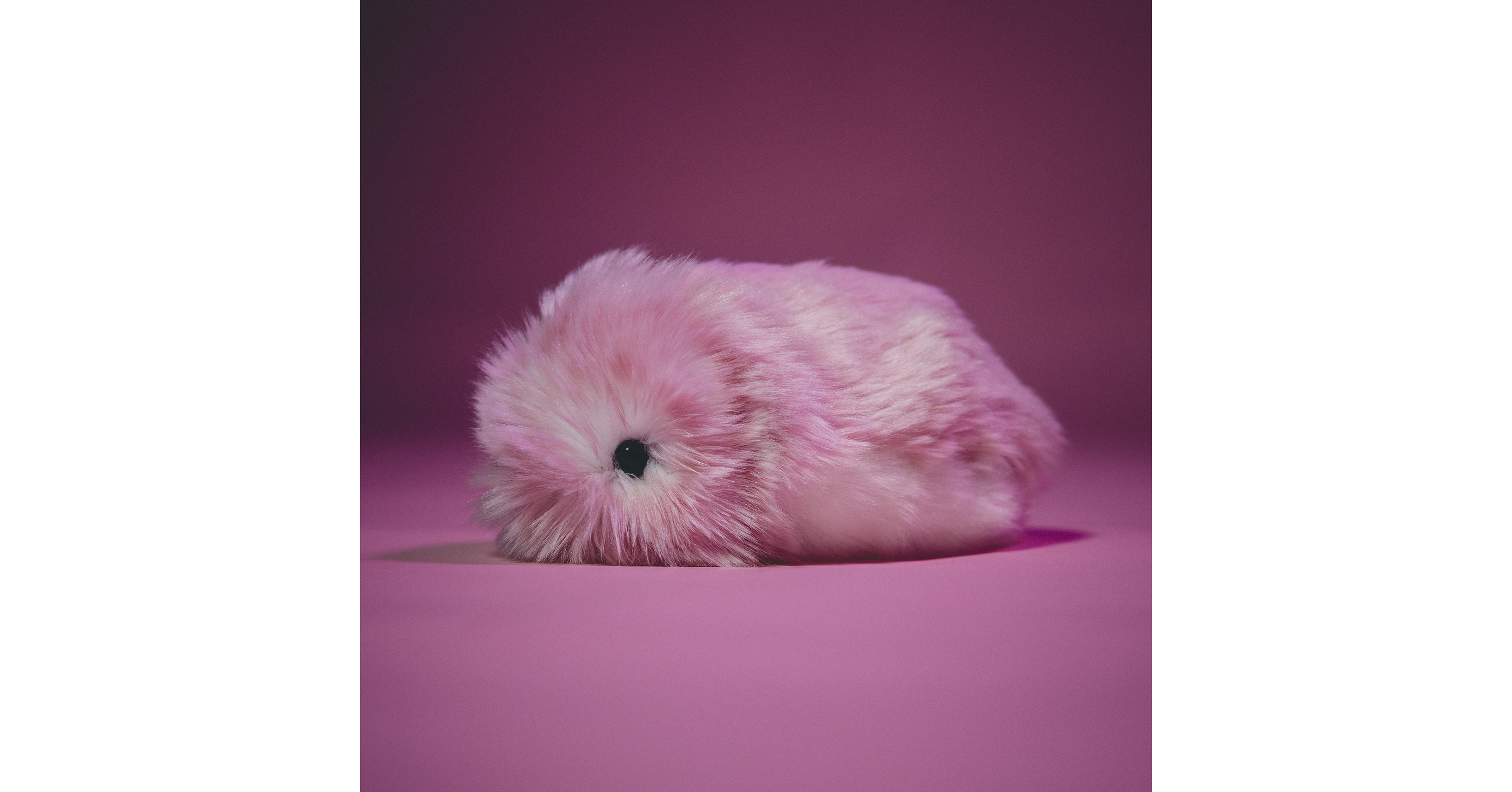 Comfort now comes in pink: a new Moflin color arrives in the U.S.