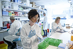 Gifford Bioscience scientists in the lab