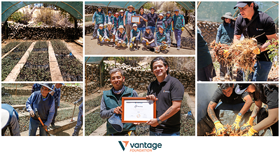 Vantage Foundation apoya la restauración de los bosques de queñual y la sostenibilidad ambiental en Perú