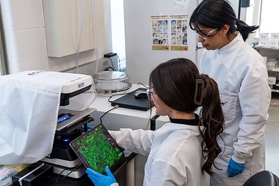 Notre Dame's Morphogenetic Bioengineering Initiative (ND-MBI) links artificial intelligence and mechanistic bioengineering.