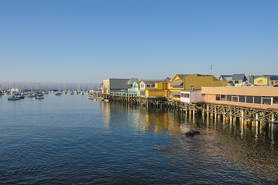 Whalefall, with filming locations along the Monterey Peninsula, plunges audiences into the depths of Monterey Bay, one of the most diverse marine environments on the planet.