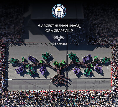 The world’s largest human grapevine, created by Wine of Moldova (WOM) during Moldova’s National Wine Day 2026 and officially recognized by Guinness World Records. This image opens in the lightbox
