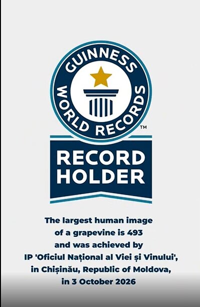 Proof of Record Registration – Certificate awarded by Guinness World Records to the National Office of Vine and Wine (ONVV), representing the national brand Wine of Moldova. This image opens in the lightbox