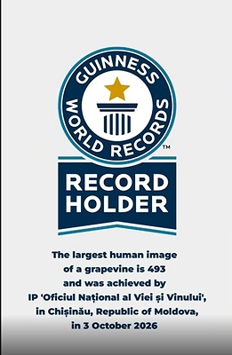 Proof of Record Registration – Certificate awarded by Guinness World Records to the National Office of Vine and Wine (ONVV), representing the national brand Wine of Moldova.