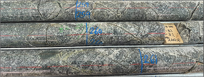 Core photo from DKD100 (259 – 261 m downhole) with vein-hosted and disseminated chalcopyrite and pyrite mineralisation in strongly veined tonalite host rock[1].