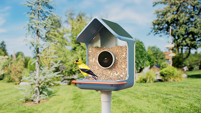 Birdbuddy Home