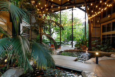 In The Parkside's atrium, lush greenery and a koi pond bring the outdoors in.
