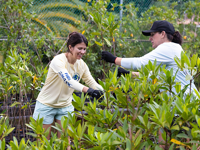 VoLo Foundation team work with MANG to offset any event-related carbon emissions. 