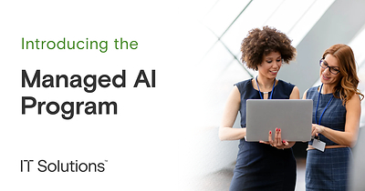 Introducing the Managed AI Program