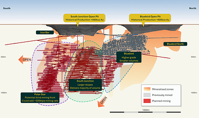 Figure 4: Schematic Long Section of the Bluebird Mine