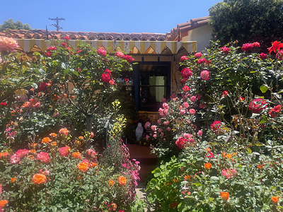 The San Diego Rose Society Hosts the San Diego World Rose Symposium April 30 to May 4, 2027
