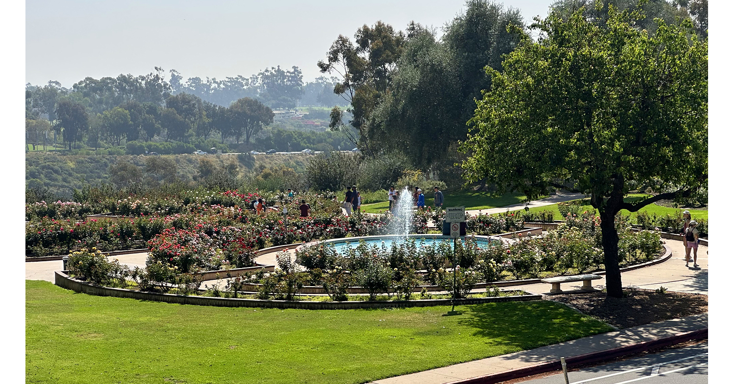 The San Diego Rose Society Hosts the San Diego World Rose Symposium April 30 to May 4, 2027