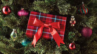 A festive Christmas tree featuring colorful ornaments and a red-and-blue plaid wrapped gift.