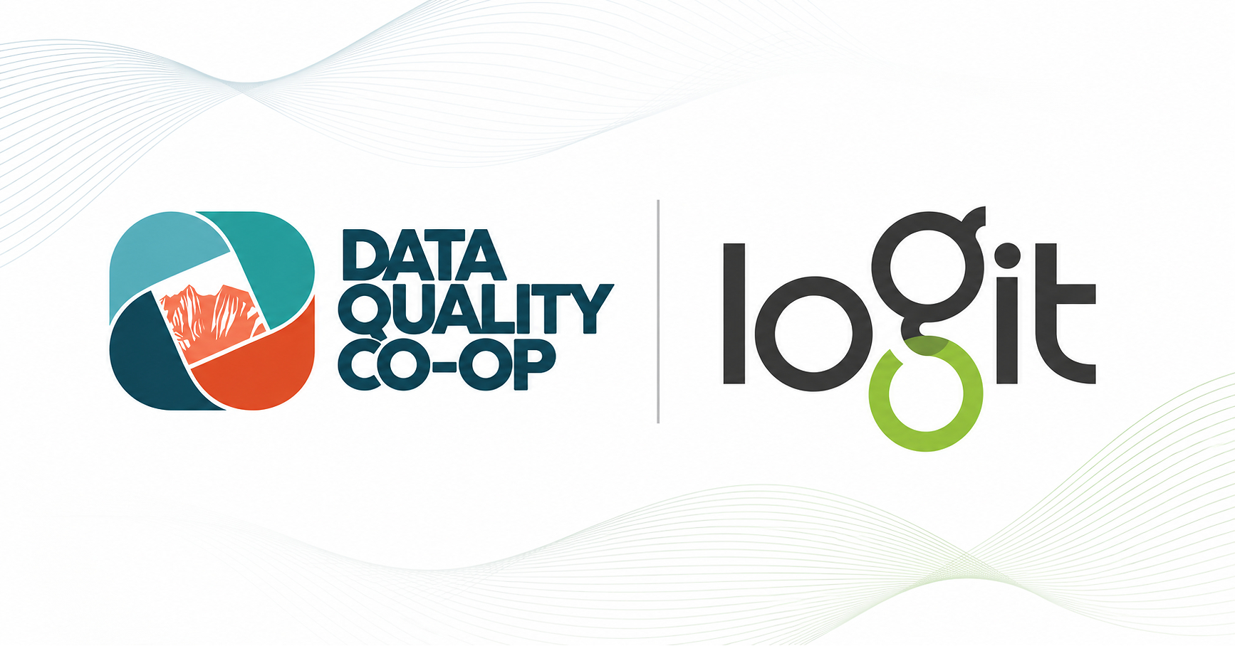 The Logit Group Partners With Data Quality Co-op to Advance Data ...