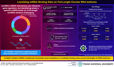 Pusan National University Researchers Develop AI Tool to Map MicroRNA Binding Sites on Circular RNAs