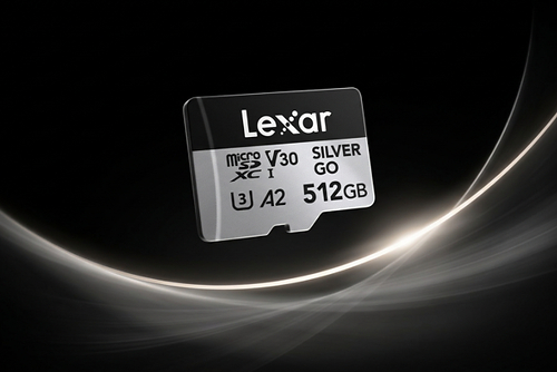 Lexar® Professional SILVER GO microSDXC™ UHS-I Card