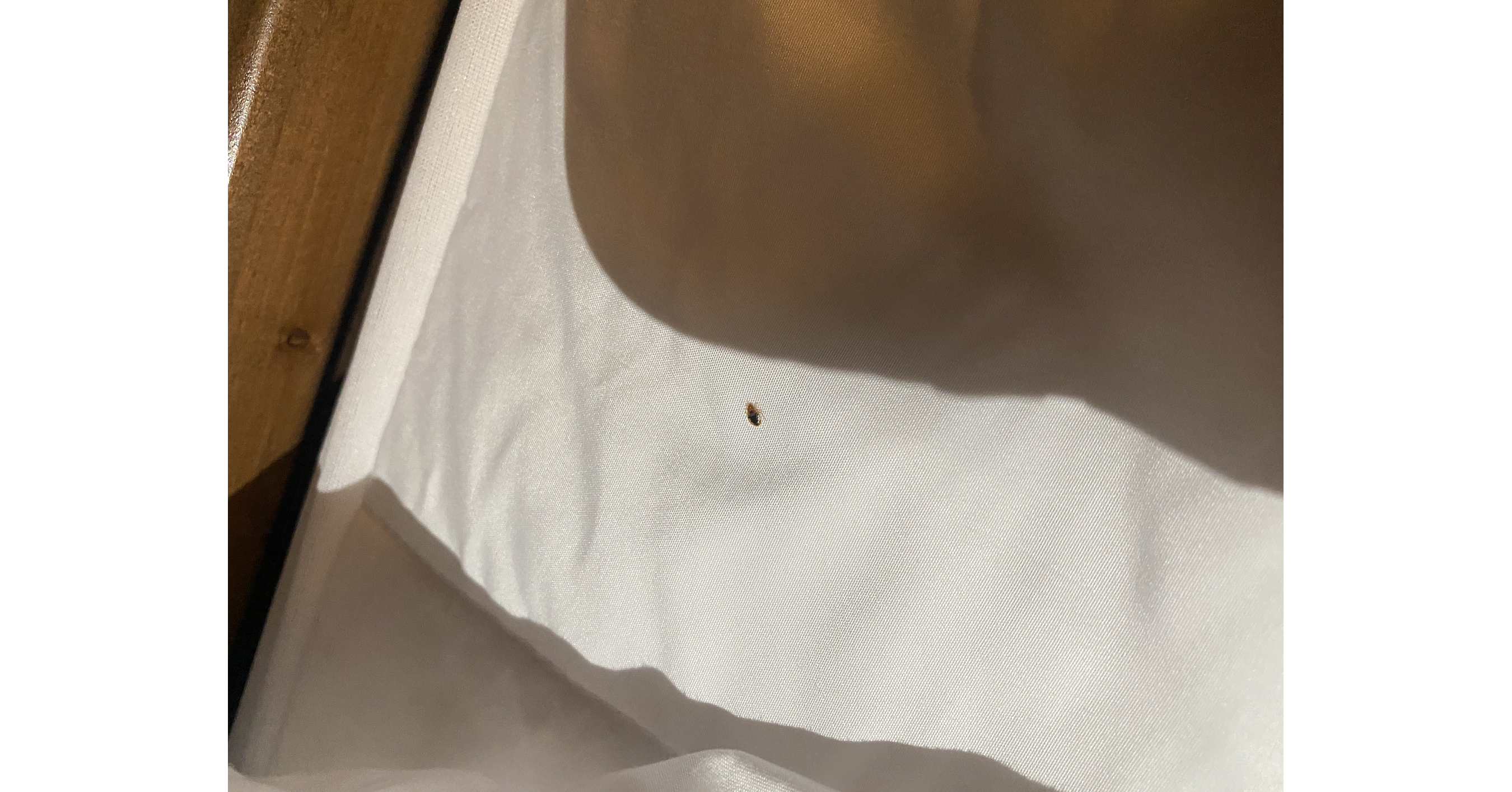 One Jury Verdict. Five More Lawsuits. Great Wolf Lodge Manteca Faces New Bed Bug Claims