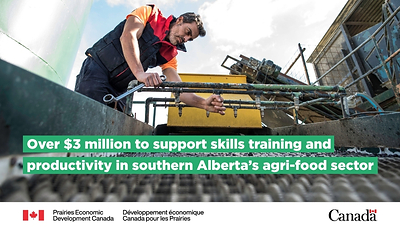 Enhancing skills to support innovation and growth in southern Alberta's agri-food sector