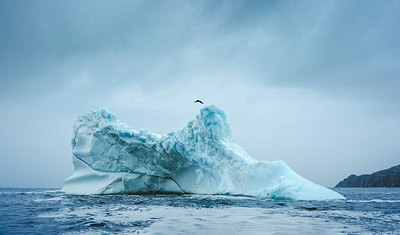 Molly Carlson performs during Red Bull Iceberg Dive in Twillingate, Canada, on June 11, 2026.