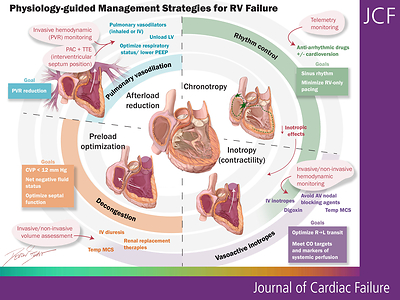 New HFSA Scientific Statement Calls for Right Heart Failure to Be Recognized as a Distinct Clinical Syndrome