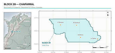 Figure 2. Location of Block 39 (Chaparral block), municipality of Chaparral, Department of Tolima, Colombia, and the sectors identified by the SGC as being of high mineral potential within the block. Geographic coordinates, WGS 84.