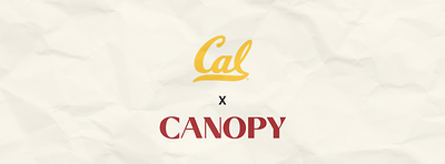 Canopy Talent Partners with Cal Athletics to Expand NIL Opportunities for Gymnastics and Beach Volleyball