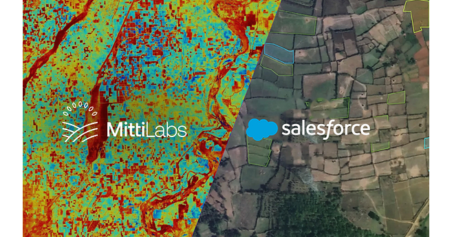 Salesforce to buy 500,000 rice methane credits from Mitti Labs