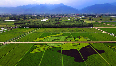 Xi'an's Huyi District is working to become a model for sustainable, circular farming
