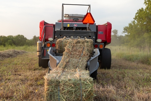 Massey Ferguson’s new hydraulic singulation chute for the MF SB.1436DB small square baler places two bales into a single straight row, helping commercial hay producers reduce collection passes. The system is designed to save time, fuel and labor during critical harvest windows while improving efficiency from baling through bale collection. Massey Ferguson’s new hydraulic singulation chute for the MF SB.1436DB small square baler places two bales into a single straight row, helping commercial hay producers reduce collection passes. The system is designed to save time, fuel and labor during critical harvest windows while improving efficiency from baling through bale collection.