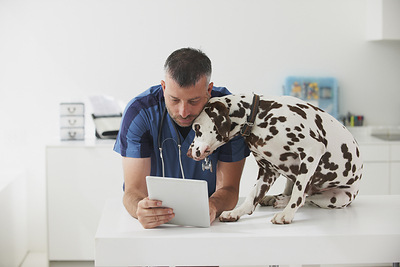 CareCredit and Clarus Make Checkout Simpler for Veterinary Practices with Real-Time Eligibility Insights for Insurance and Financing Options