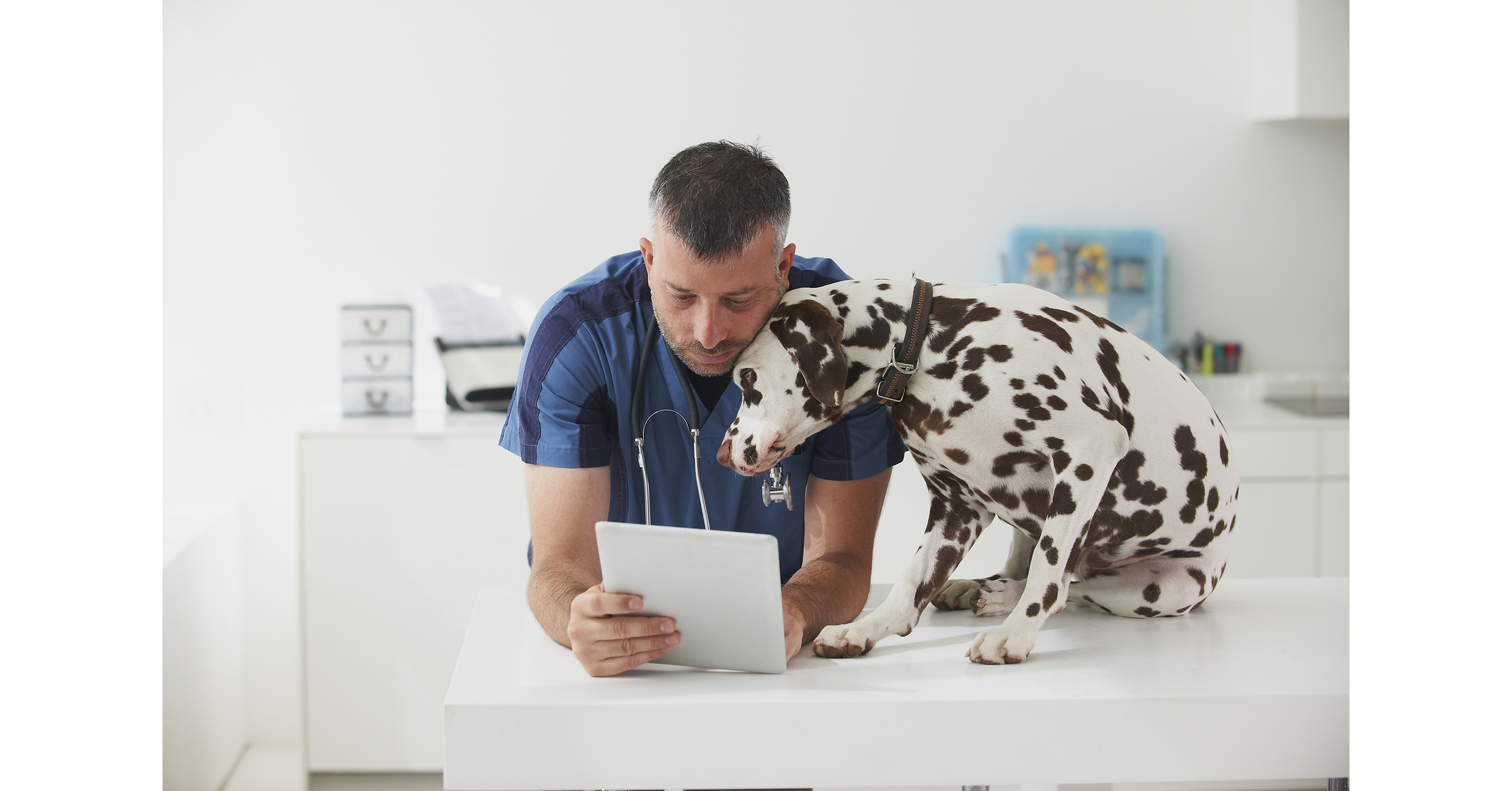 CareCredit and Clarus Make Checkout Simpler for Veterinary Practices with Real-Time Eligibility Insights for Insurance and Financing Options