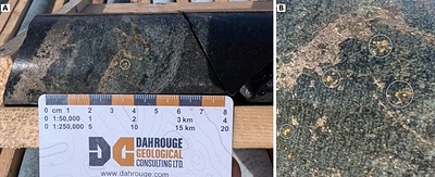 Figure 1: Drill core from ML26 005 at 33.4 metres downhole, showing visible gold (circled) in a narrow sulphide- and diopside-rich calc-silicate shear, at the margin of a pyrrhotiteâ€“pyriteâ€“quartzâ€“chalcopyrite stockwork vein (A; scale in centimetres). B: closer view of the visible gold in a separate photograph, with gold grains circled.