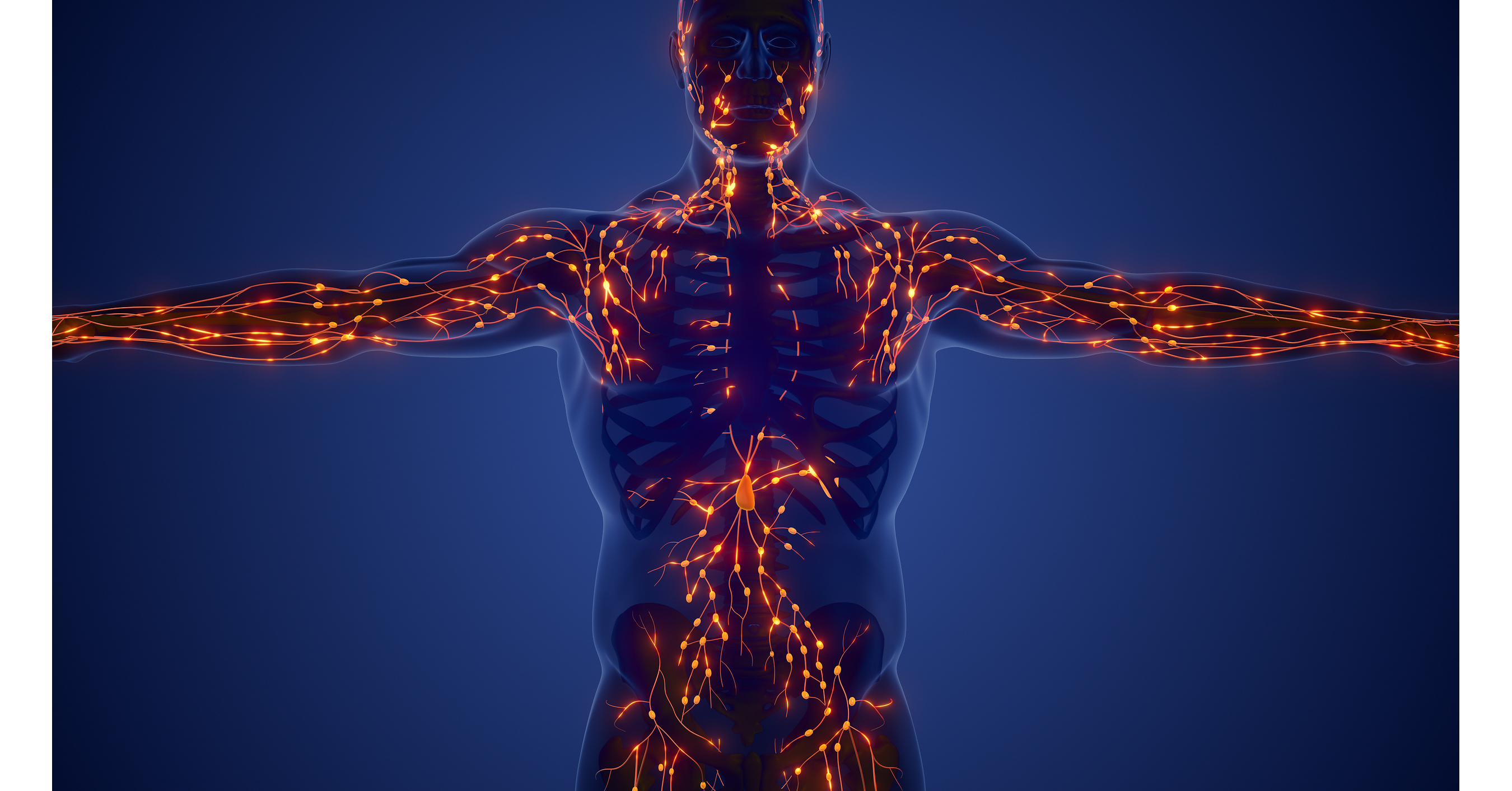Manual Lymphatic Massage Is Growing in Popularity--Discover Its Benefits and What You Should Know