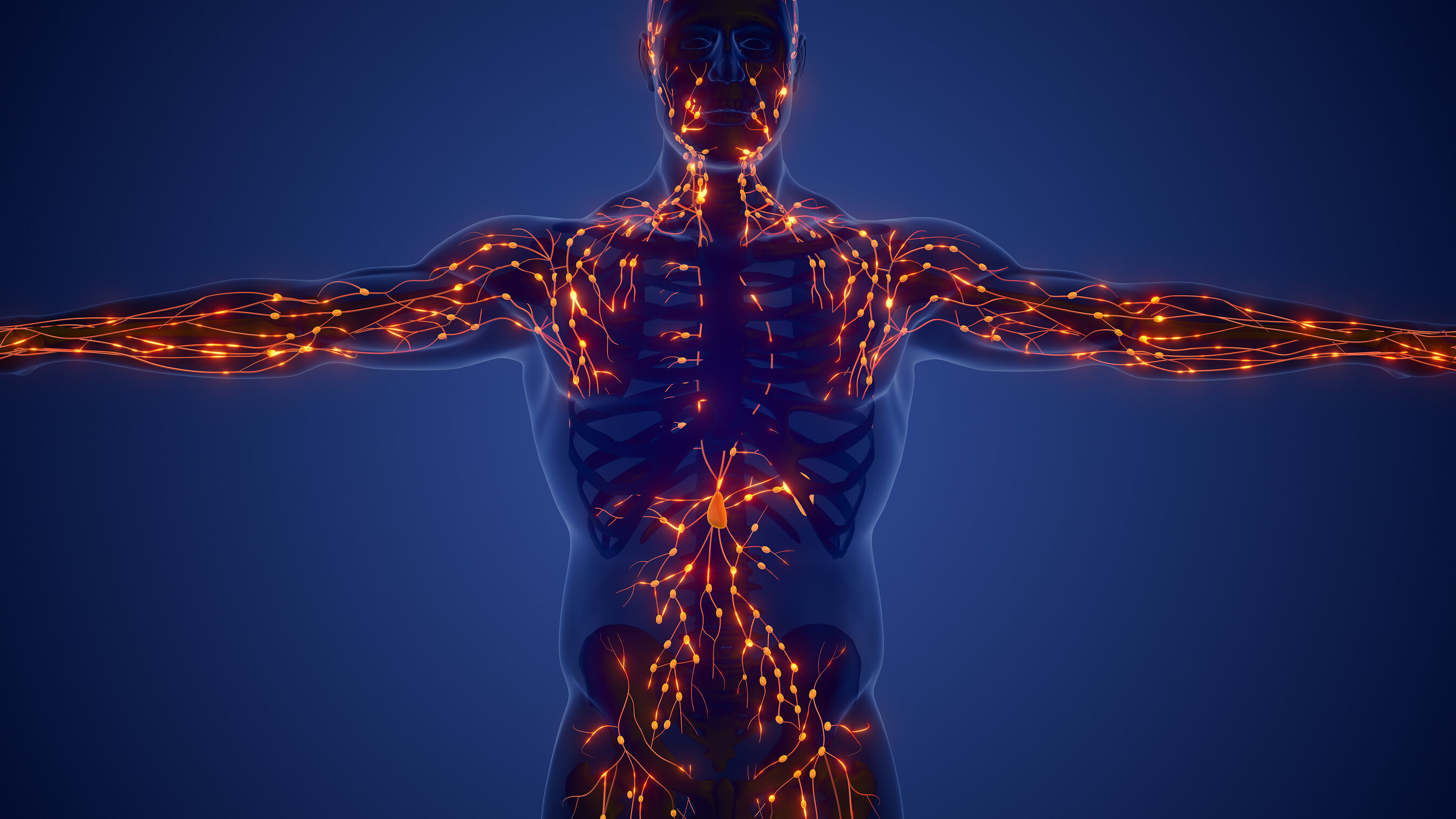 Manual Lymphatic Massage Is Growing in Popularity--Discover Its Benefits and What You Should Know サムネイル