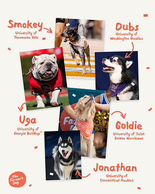 The Farmer’s Dog Unleashes a Fresh Take on College Sports’ NIL Era with Five All-Star Live Mascots