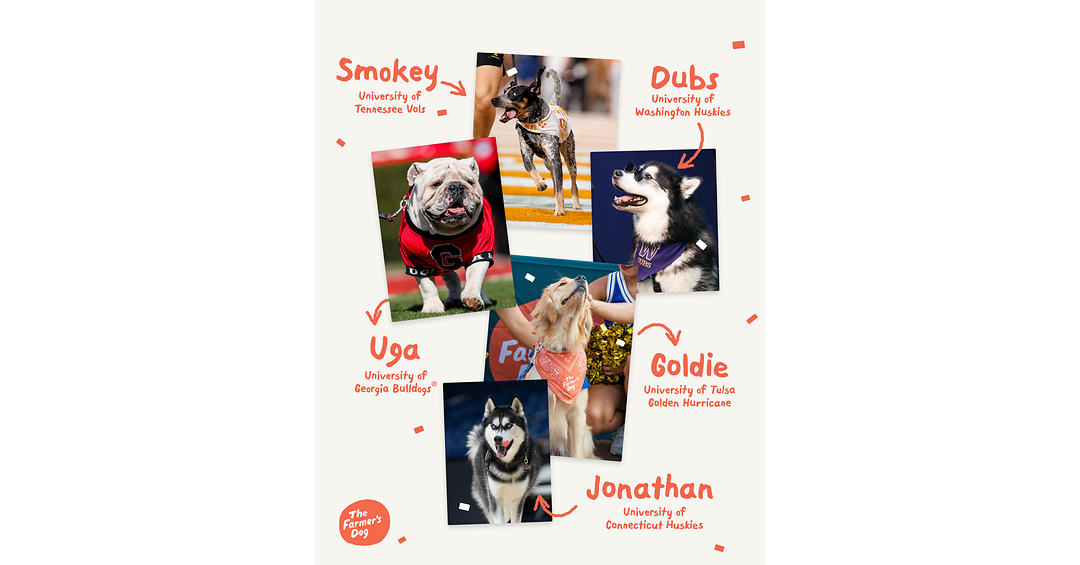 The Farmer's Dog Unleashes a Fresh Take on College Sports' NIL Era with Five All-Star Live Mascots