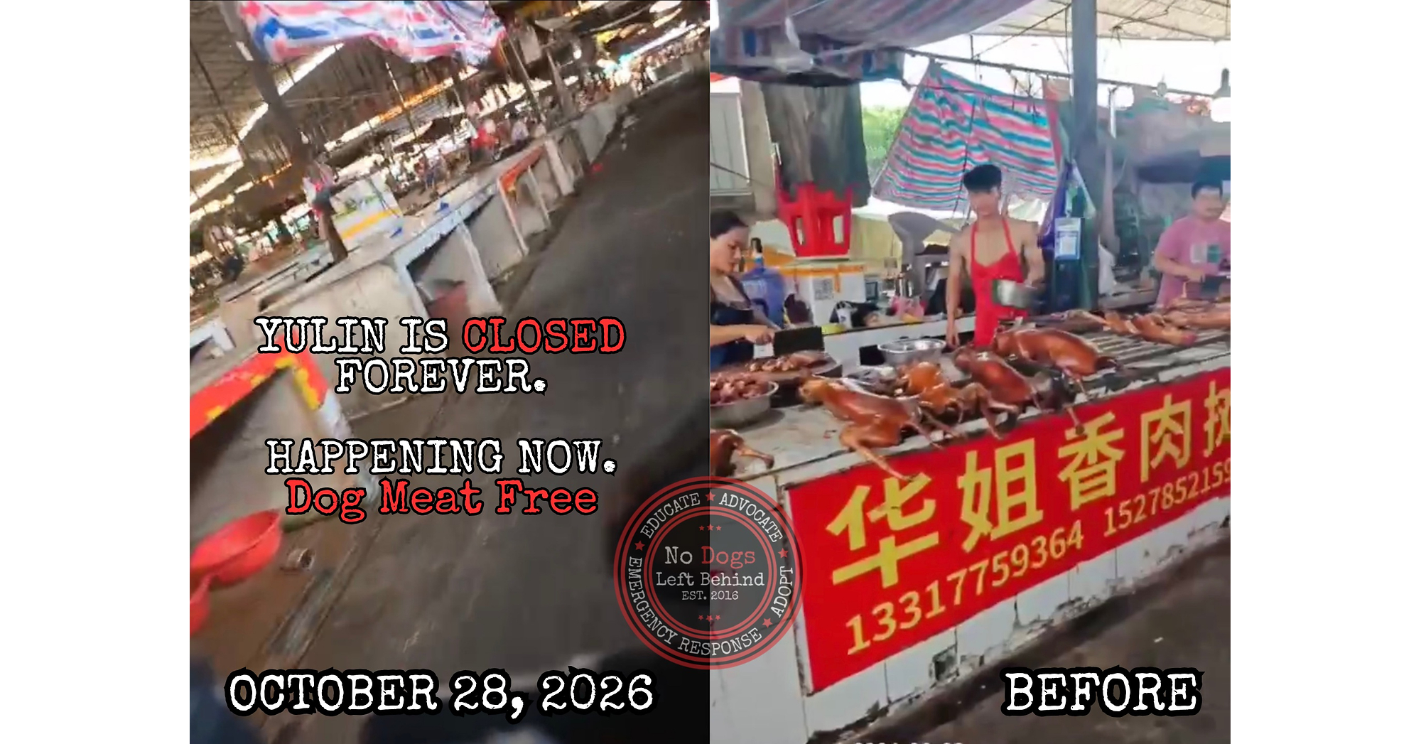 BREAKING NEWS: A HISTORIC VICTORY IN THE FIGHT TO END THE DOG MEAT TRADE!