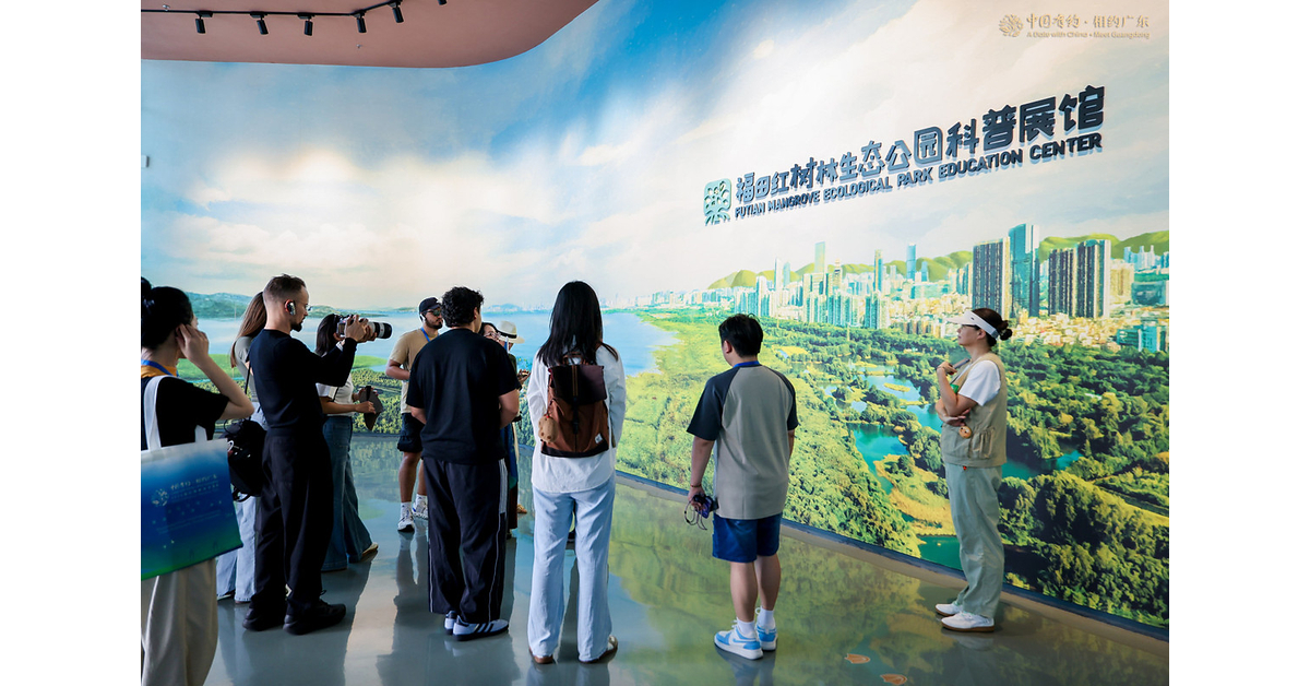 Foreign media learn about Chinas mangrove conservation efforts Foreign media learn about Chinas mangrove conservation efforts