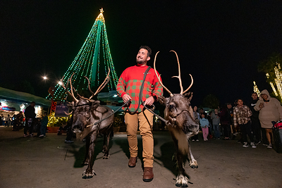 SeaWorld's Christmas Celebration