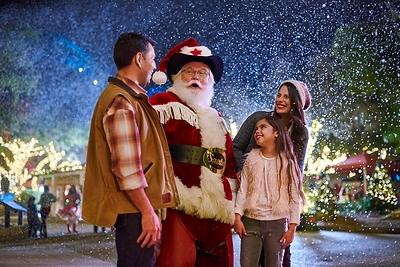 SeaWorld's Christmas Celebration