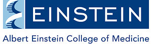 Albert Einstein College of Medicine Launches BIO-VITAL to Accelerate  Gerotherapeutics