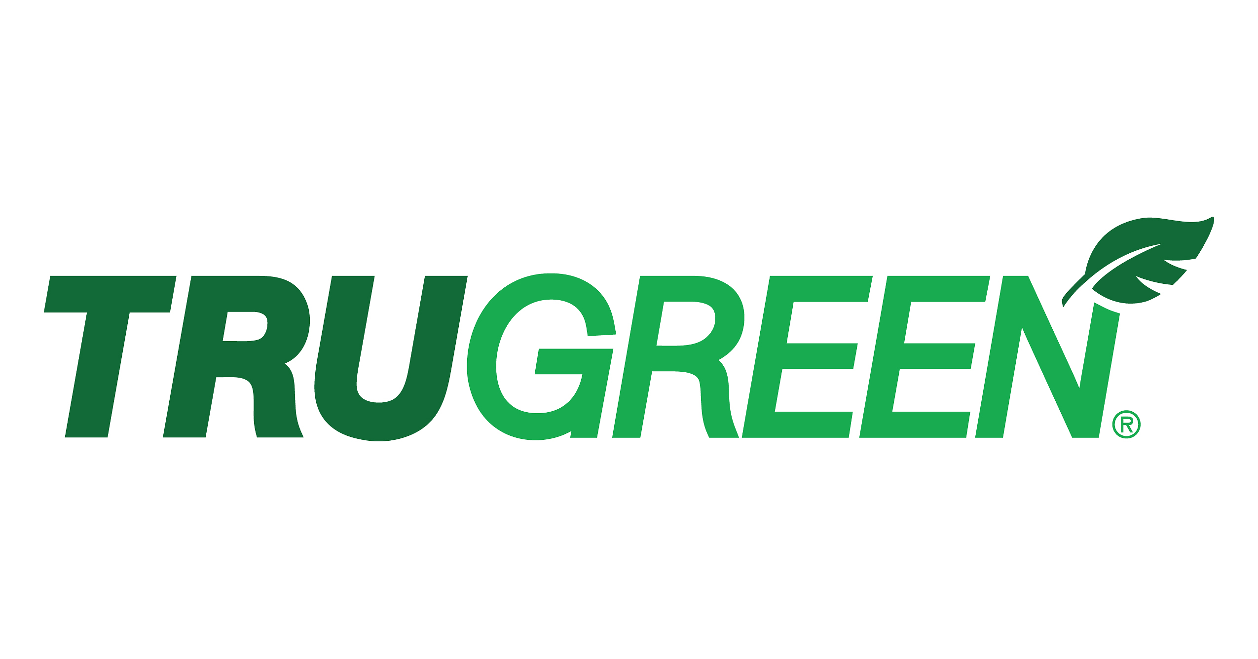 Good Sports and TruGreen Host 'Play Day Celebration' and Equipment ...
