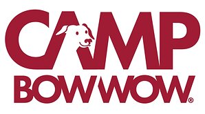 CAMP BOW WOW CELEBRATES NATIONAL DOG DAY WITH 3 FREE DAYS OF DAY CAMP FOR NEW CAMPERS